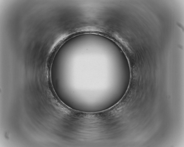 X0000096211408200802011311