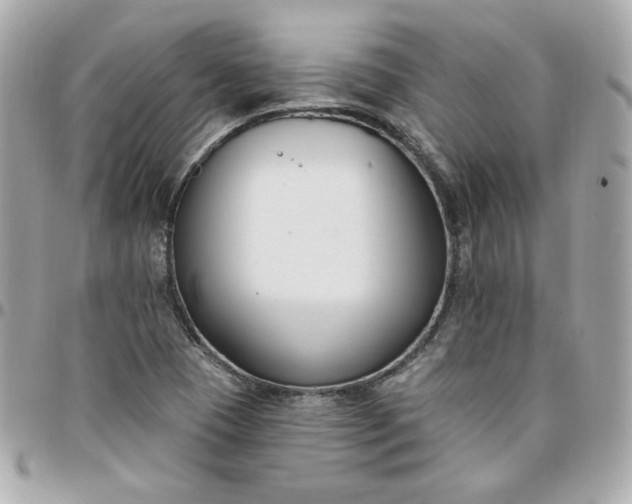 X0000096211409200802011311