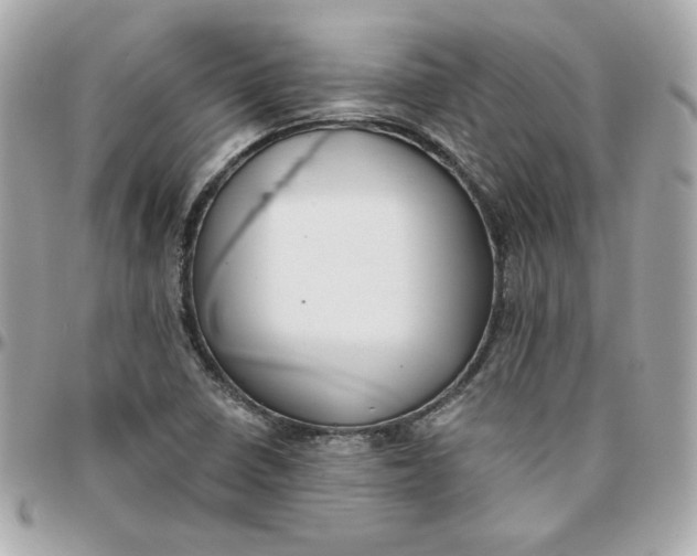 X0000096211410200802011311