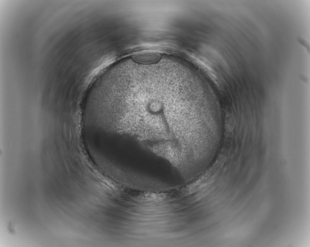 X0000096211411200802011311