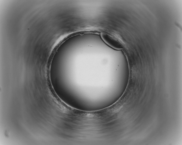 X0000096211412200802011311