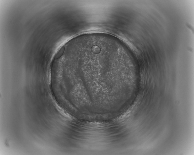 X0000096211413200802011311