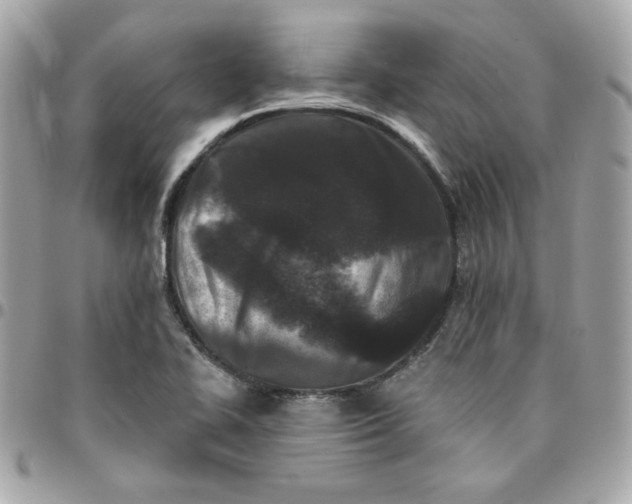 X0000096211414200802011311