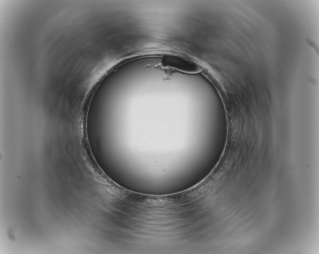 X0000096211415200802011311