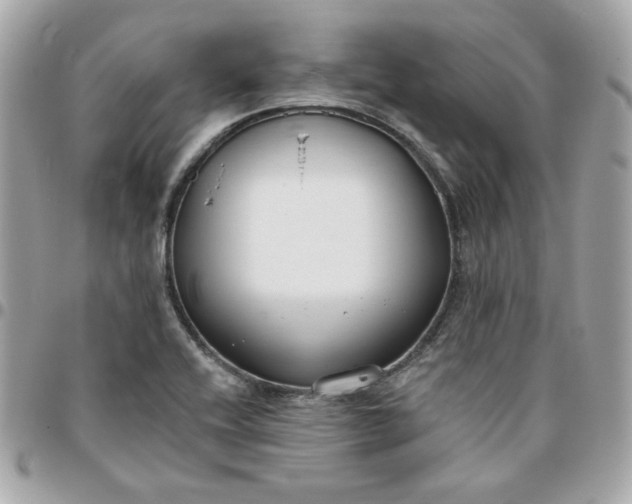 X0000096211416200802011312