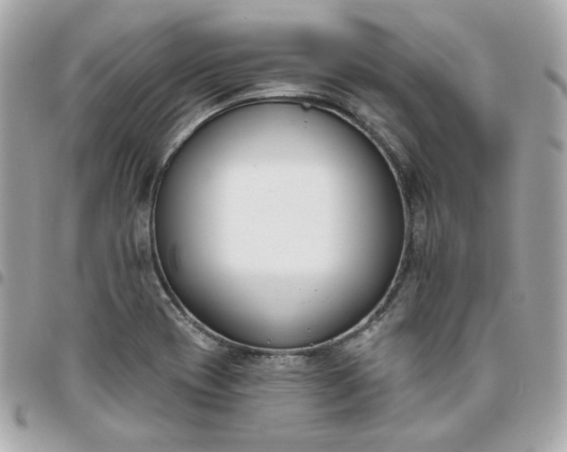 X0000096211417200802011312