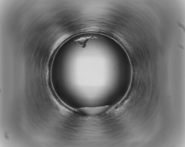 X0000096211418200802011312