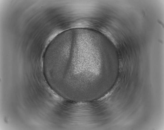 X0000096211419200802011312