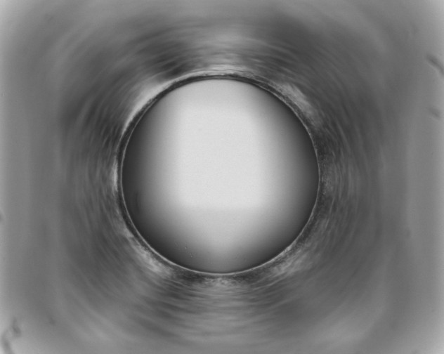 X0000096211420200802011312