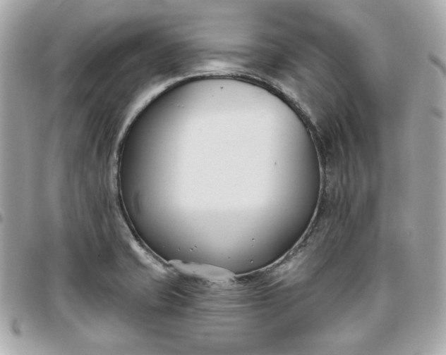 X0000096211421200802011312