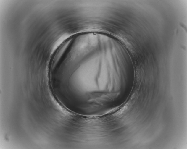 X0000096211422200802011312