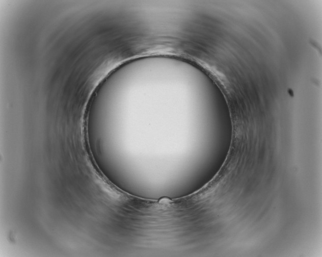 X0000096211423200802011312