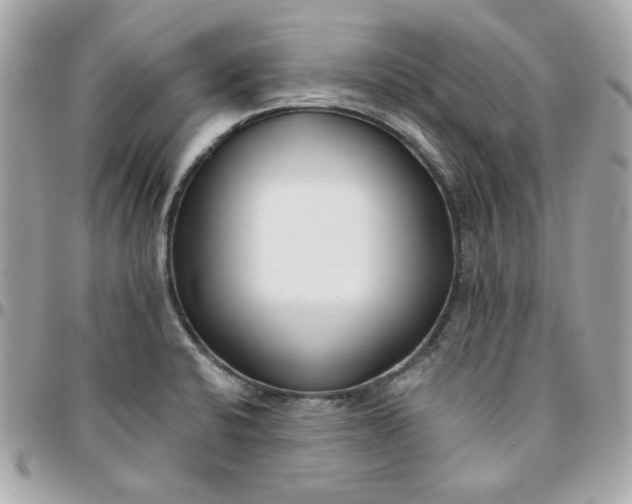 X0000096211424200802011312