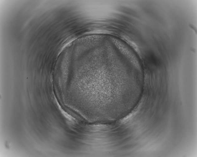 X0000096211425200802011312