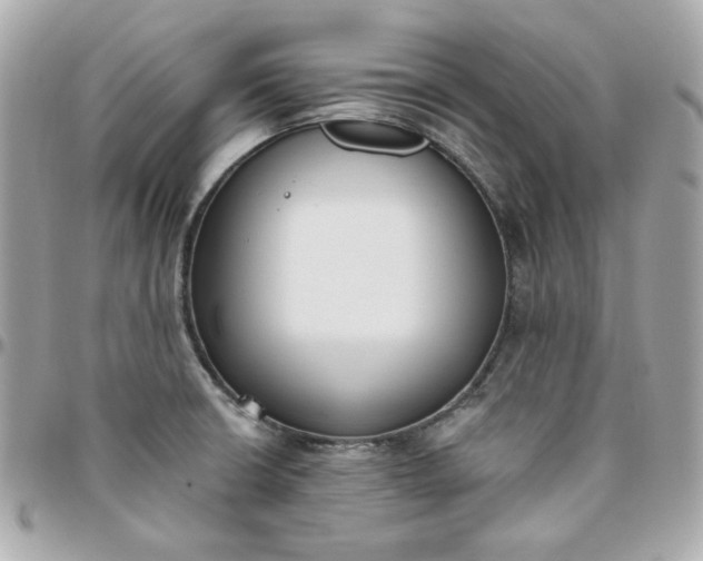 X0000096211426200802011312