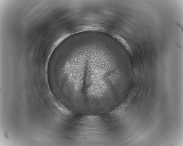 X0000096211427200802011312