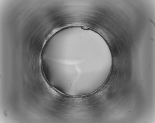 X0000096211428200802011312