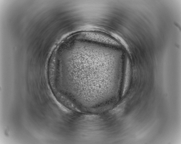 X0000096211429200802011312