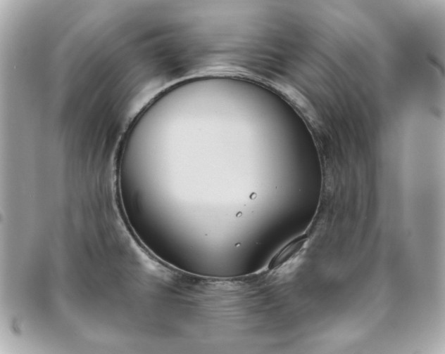 X0000096211430200802011312