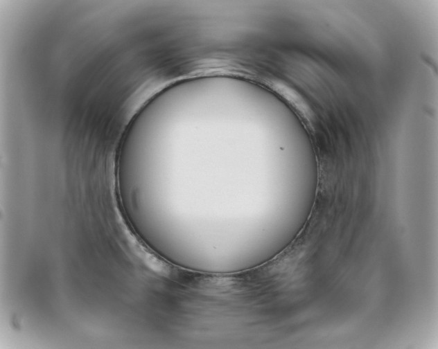 X0000096211431200802011312