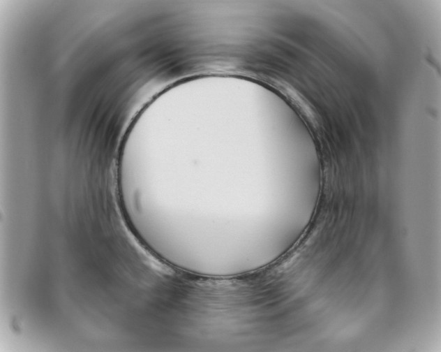 X0000096211432200802011312