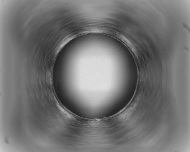 X0000096211433200802011312