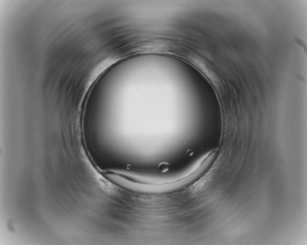 X0000096211434200802011312