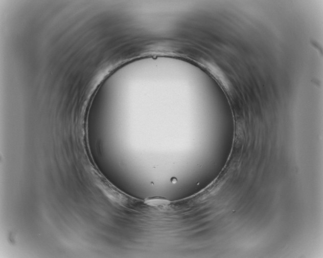 X0000096211435200802011312