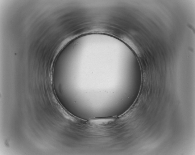 X0000096211436200802011312