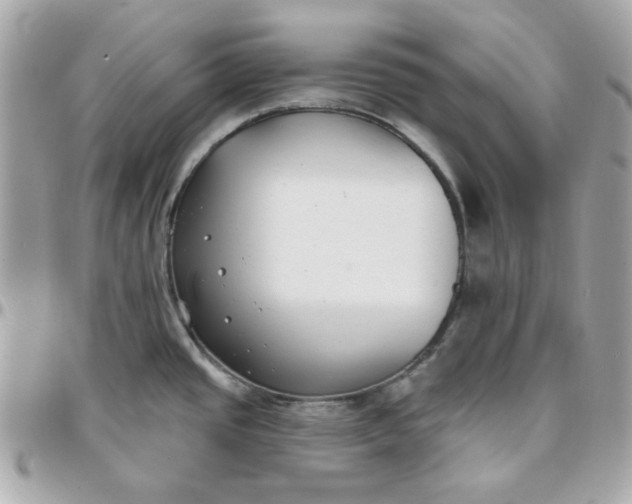 X0000096211437200802011312