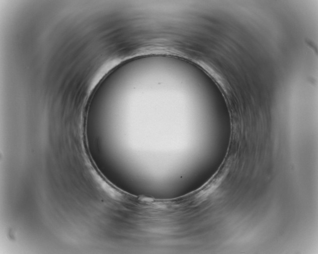 X0000096211438200802011312