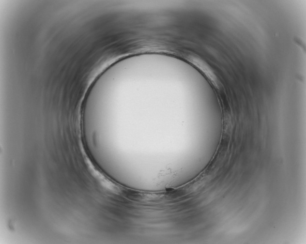 X0000096211439200802011312