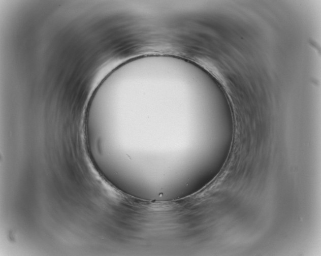 X0000096211440200802011312