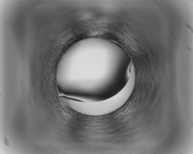 X0000096211441200802011311