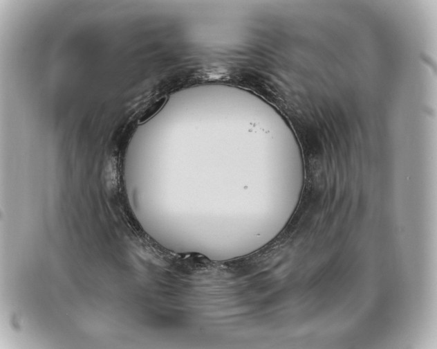 X0000096211442200802011311