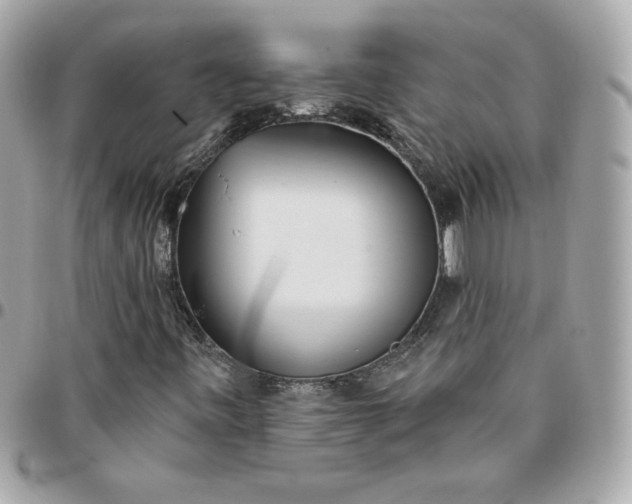 X0000096211443200802011311