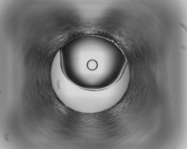 X0000096211444200802011311