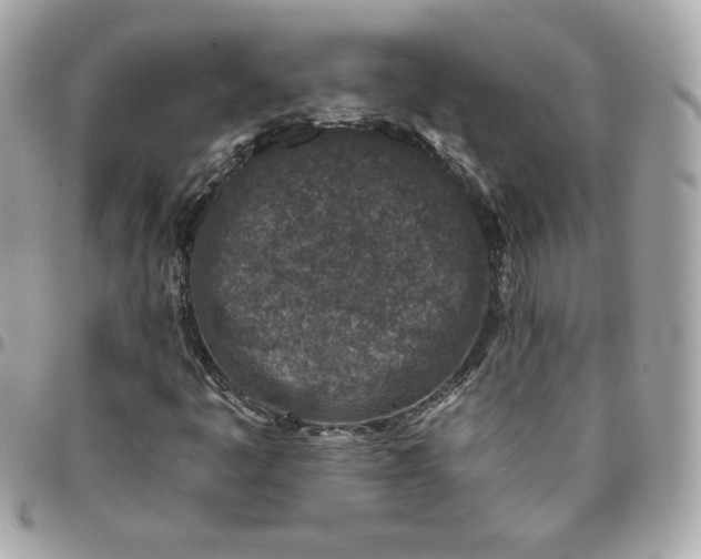 X0000096211445200802011311