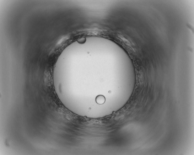 X0000096211446200802011311