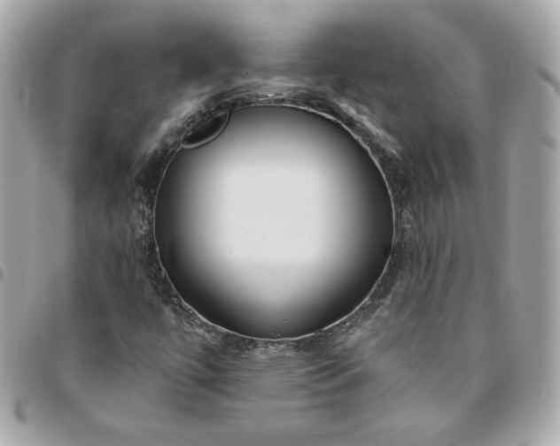 X0000096211447200802011311