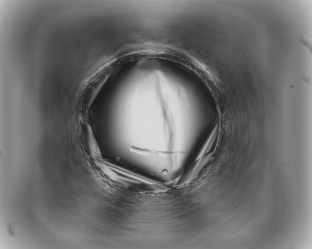 X0000096211448200802011311