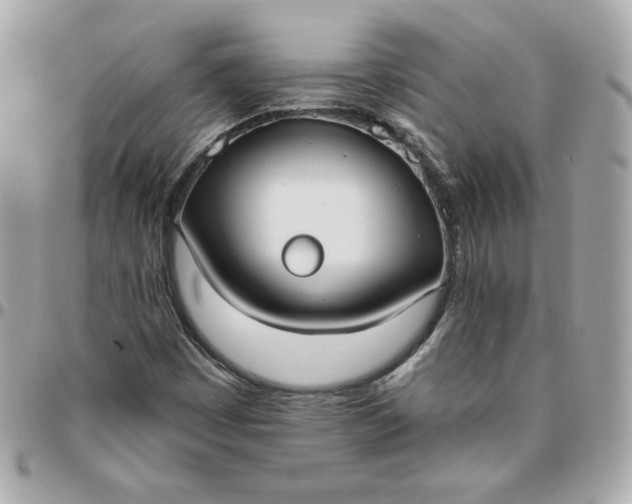 X0000096211449200802011311