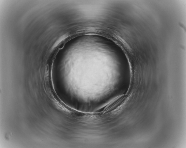 X0000096211450200802011311