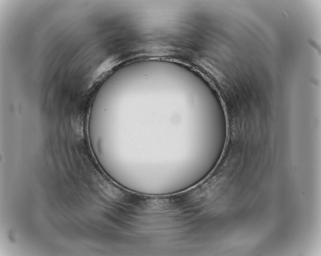 X0000096211451200802011311