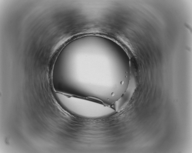 X0000096211452200802011311