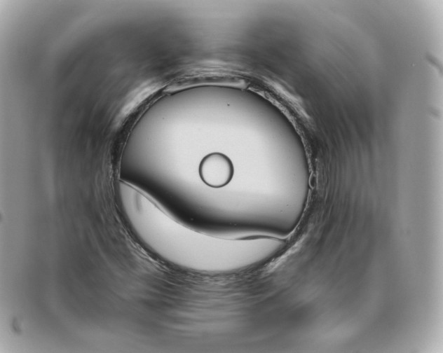 X0000096211453200802011311