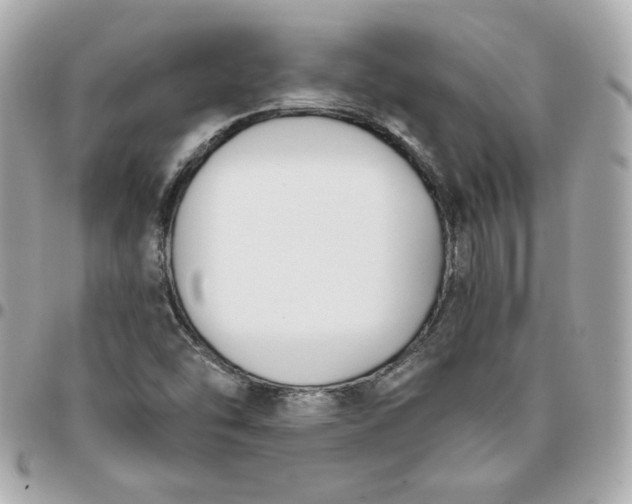 X0000096211454200802011311