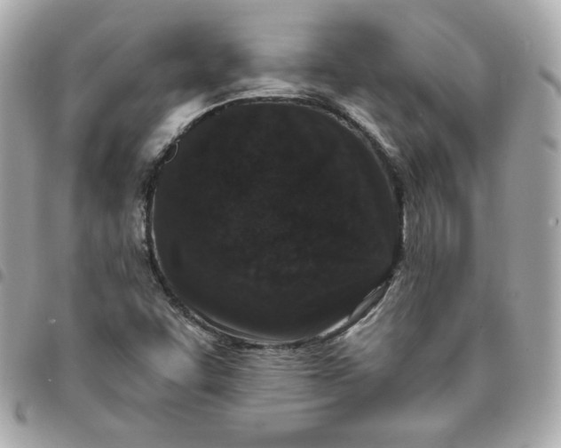 X0000096211455200802011311