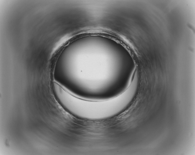 X0000096211456200802011311