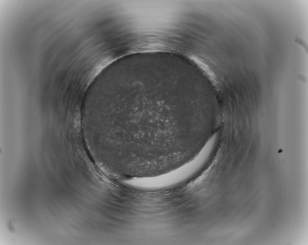 X0000096211457200802011311